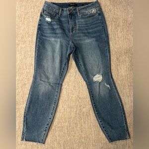 Judy Blue Skinny Fit